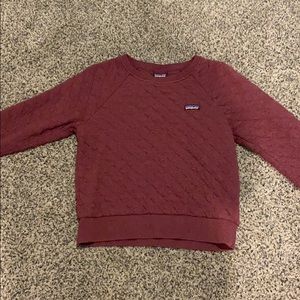 Patagonia sweatshirt